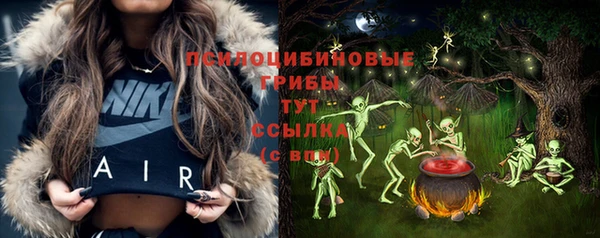 2c-b Белоозёрский
