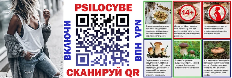 купить наркотики цена  Высоцк  Псилоцибиновые грибы Cubensis 